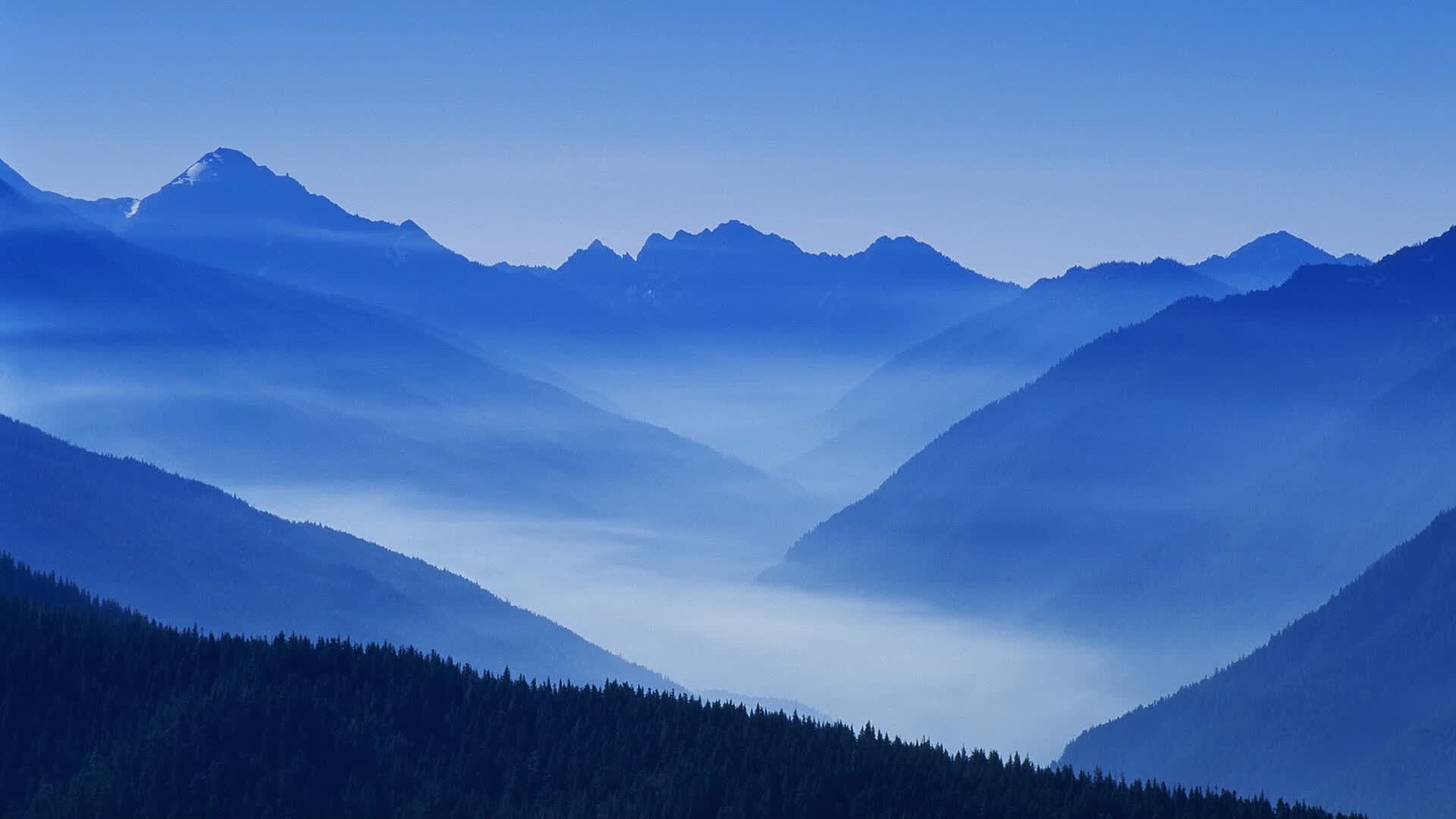 世界保龄球巡回赛在校园设体验点,世界保龄球联合会