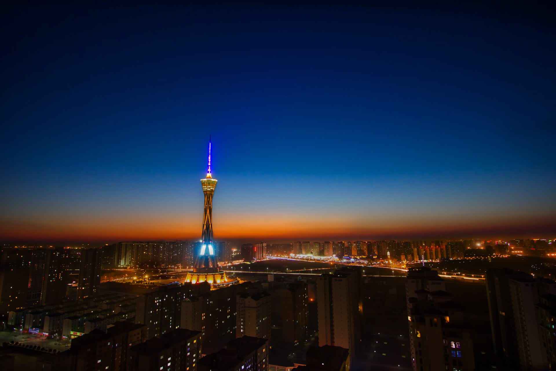 世界游泳锦标赛赛后志愿者职业发展路径启动,游泳世界锦标赛冠军